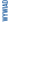 WYWIAD